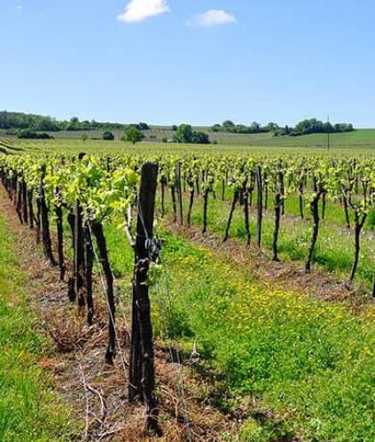 Exploitation agricole en france