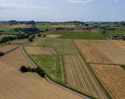 Champ en France vue d'un drone - Découvrez notre expertise en agriculture