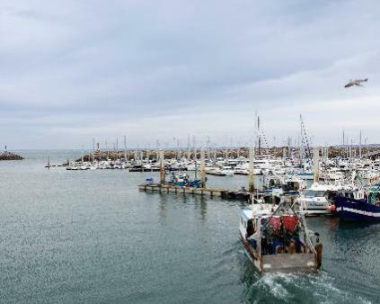 Un bateau de pêche dans un port pour illustrer l'expertise d'accompagnement de Cerfrance dans les métiers de la mer
