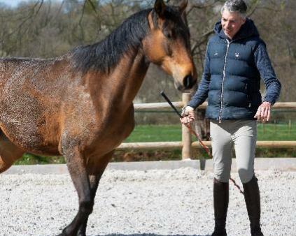 Un homme et son cheval dans la carrière pour illustrer l'expertise d'accompagnement de Cerfrance dans les métiers du cheval