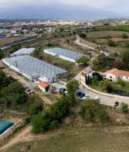 Une exploitation agricole vue du ciel avec des serres