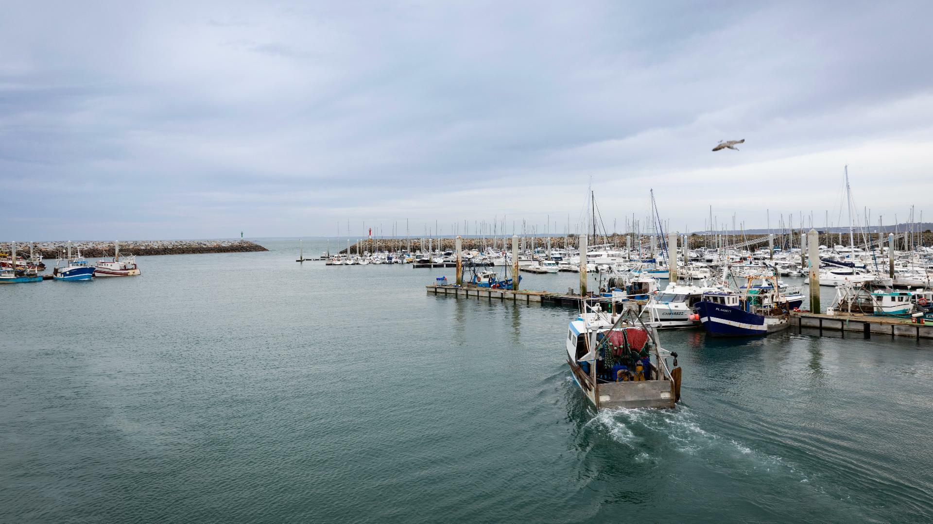 Un bateau de pêche dans un port pour illustrer l'expertise d'accompagnement de Cerfrance dans les métiers de la mer