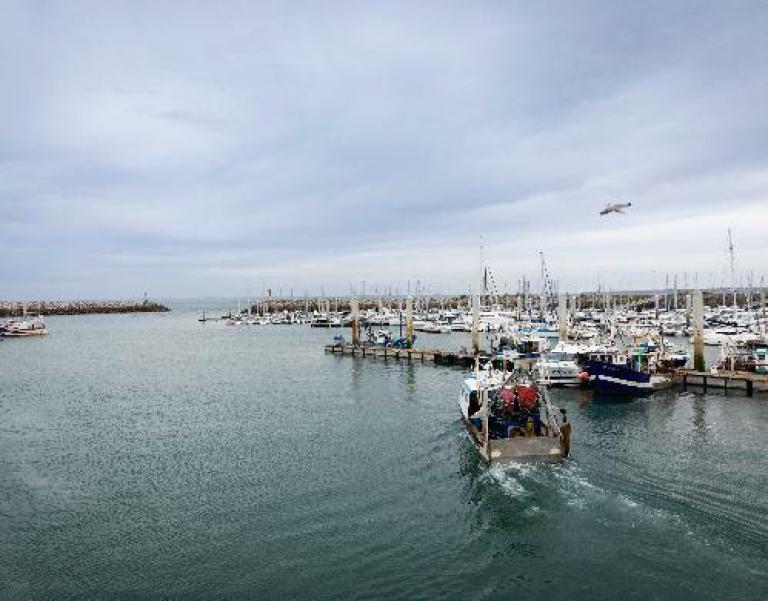 Un bateau de pêche dans un port pour illustrer l'expertise d'accompagnement de Cerfrance dans les métiers de la mer