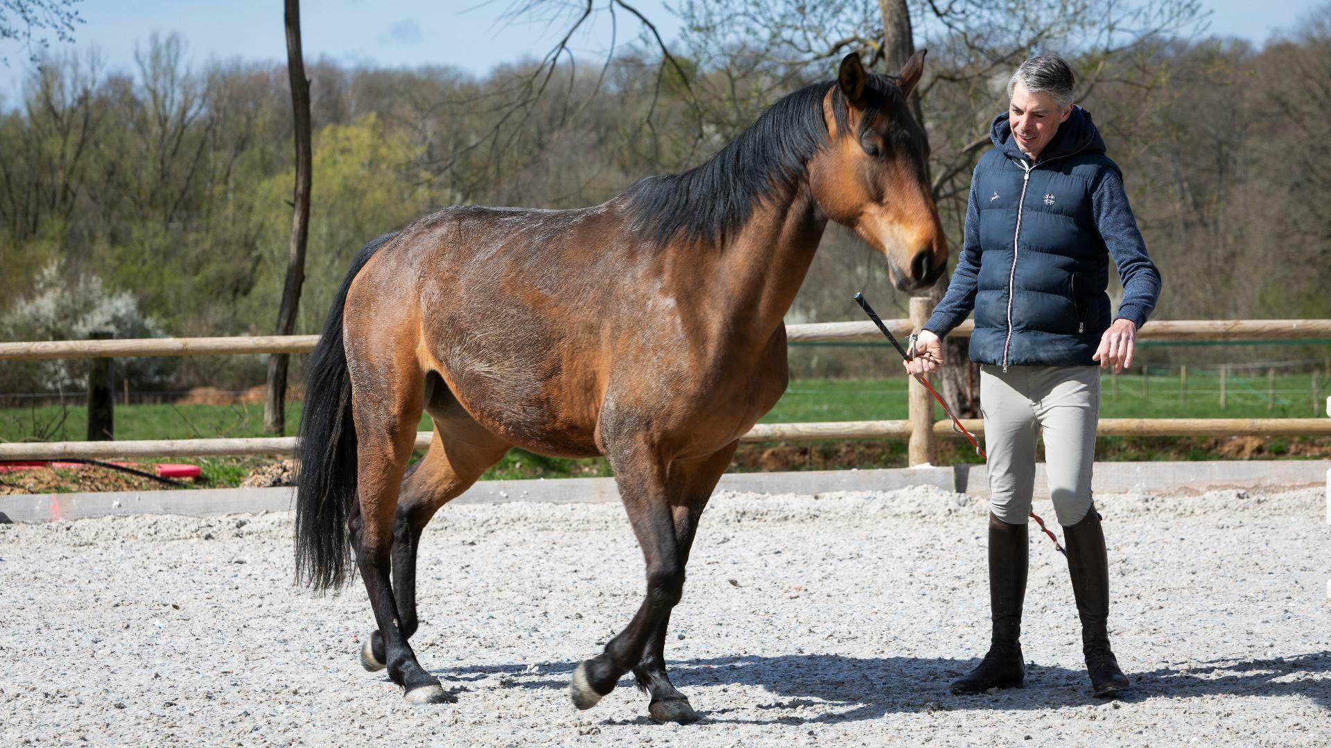 Un homme et son cheval dans la carrière pour illustrer l'expertise d'accompagnement de Cerfrance dans les métiers du cheval