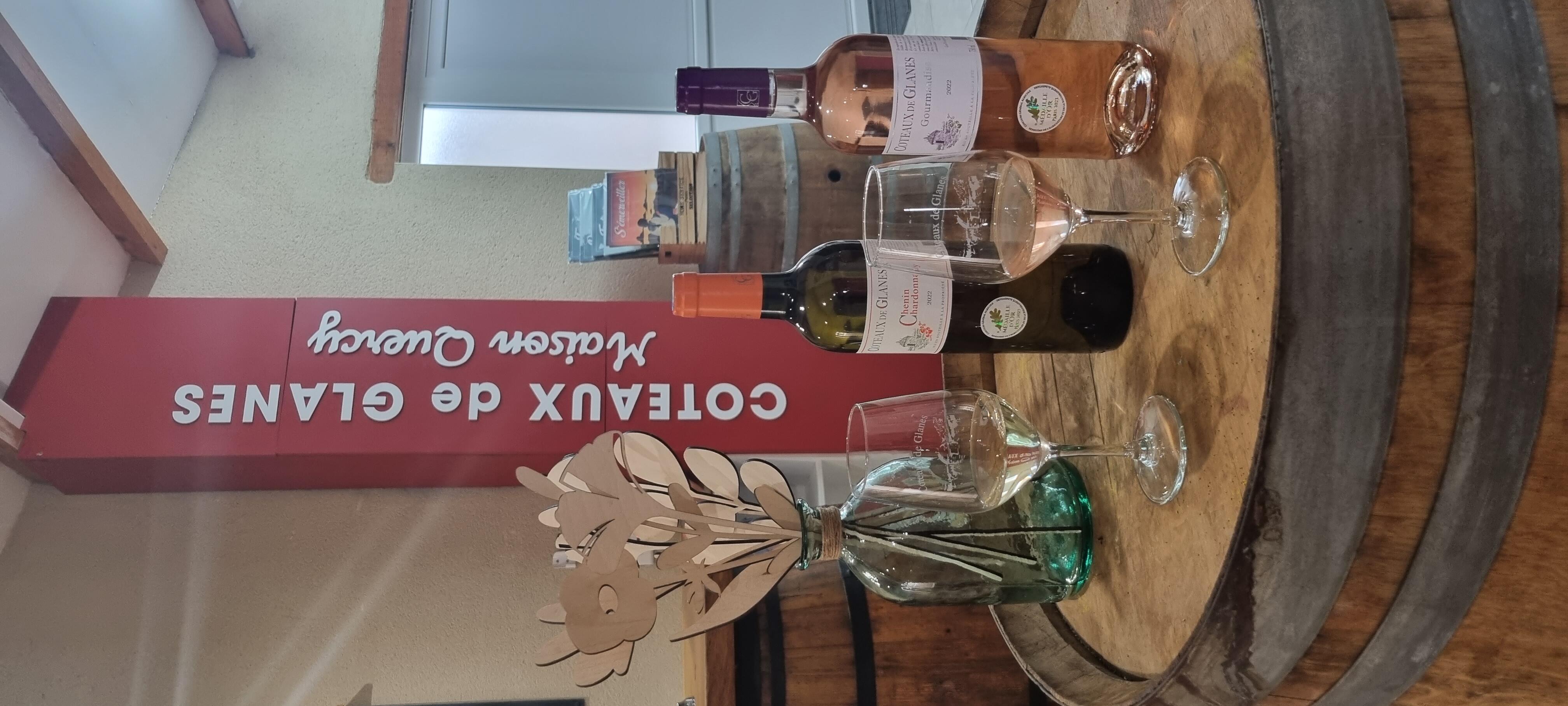 deux brebis côtes à côtes