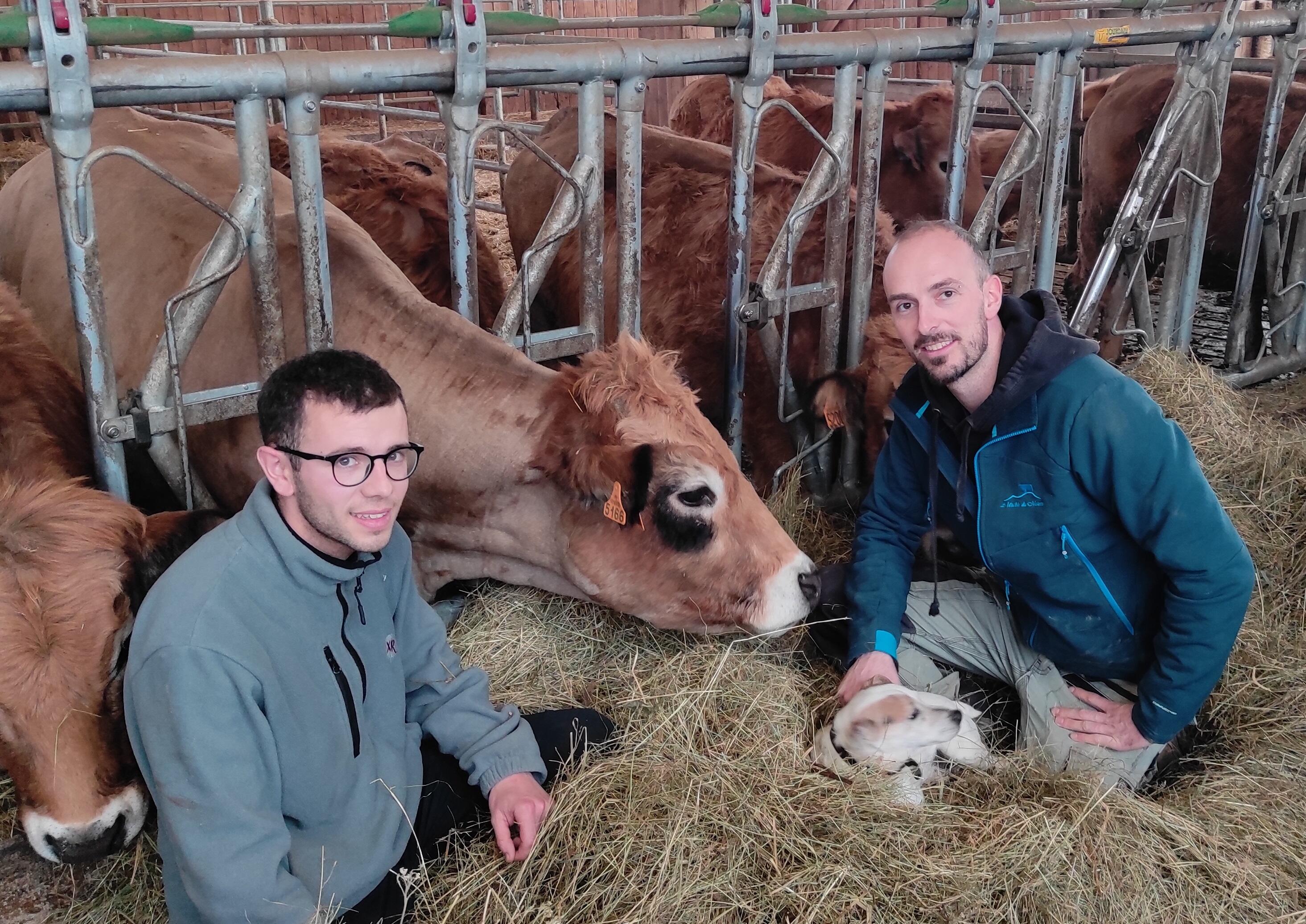 Les deux associés devant leur vache